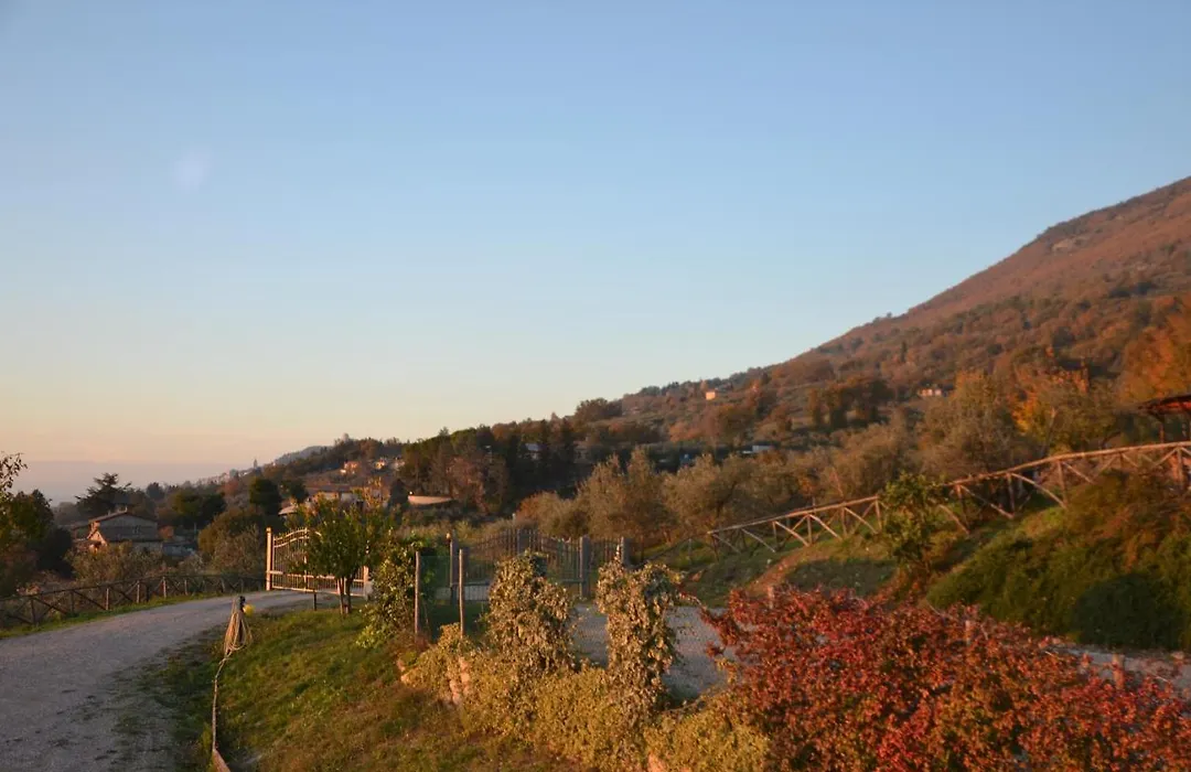 Locazione Turistica Villa Delle Rose Pinhaus-1