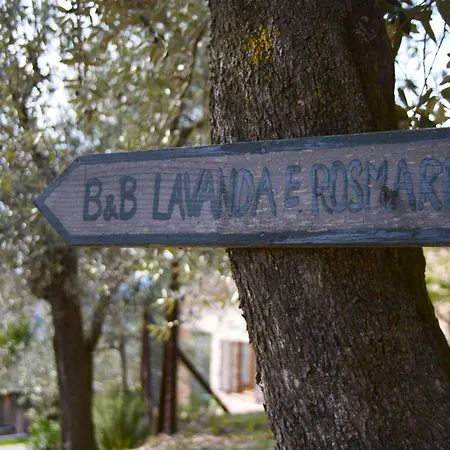 B&B Lavanda E Rosmarino-3